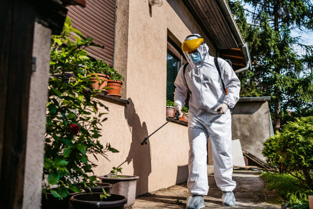 Best Best Pest Control Companies  in Lakesite, TN