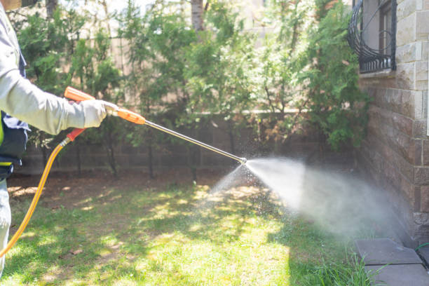 Best Termite Control Services  in Lakesite, TN