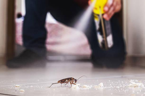 Best Commercial Pest Control Services  in Lakesite, TN